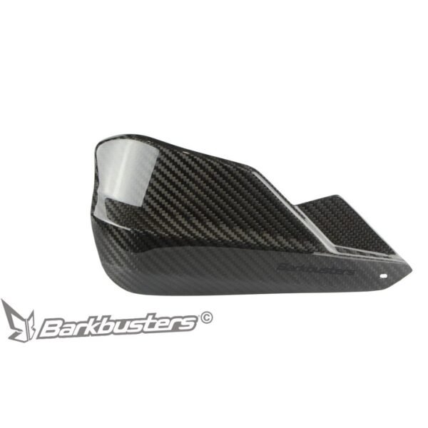 CARBON Guards